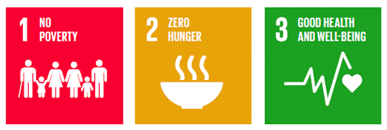 SDG 1-3